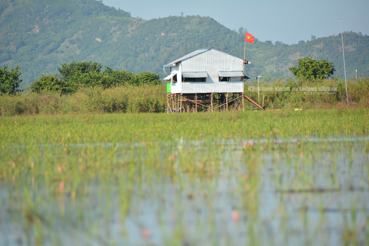 Chốt phòng, chống dịch Covid-19 vượt lũ hoàn chỉnh nhìn từ xa.
